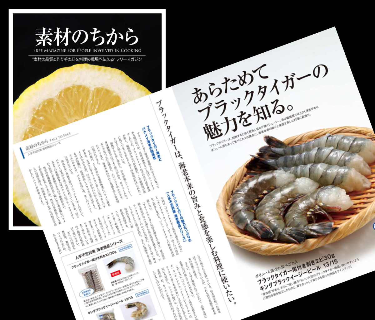 素材のちから特集-トップ