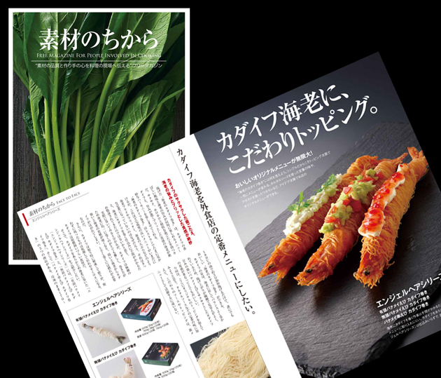 素材のちから特集-トップ